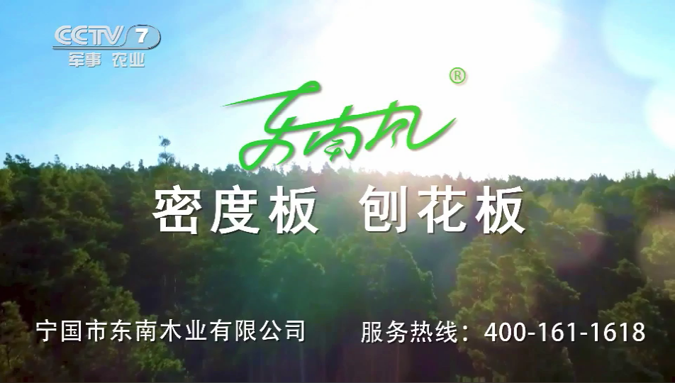 東南風(fēng)板材榮登CCTV央視展播品牌?